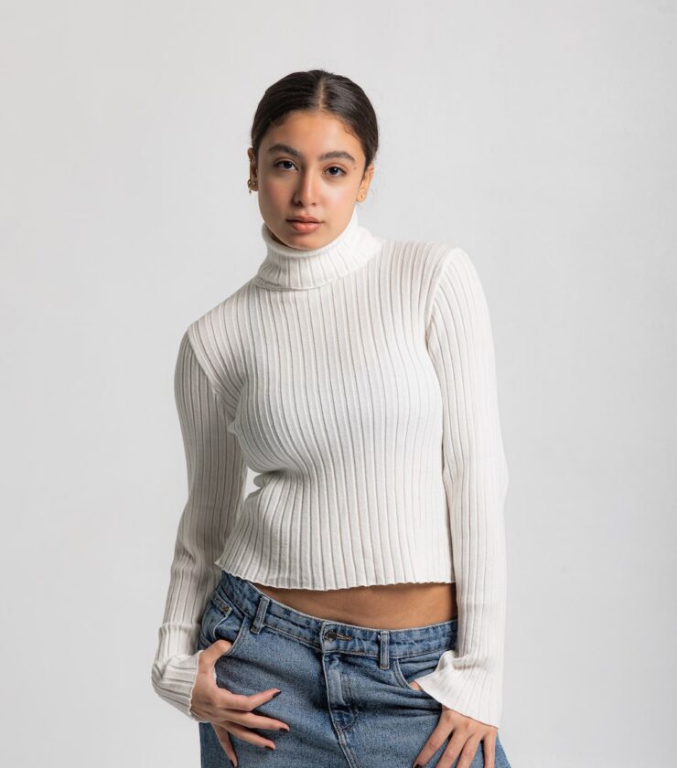 Long Sleeve Cropped Turtleneck